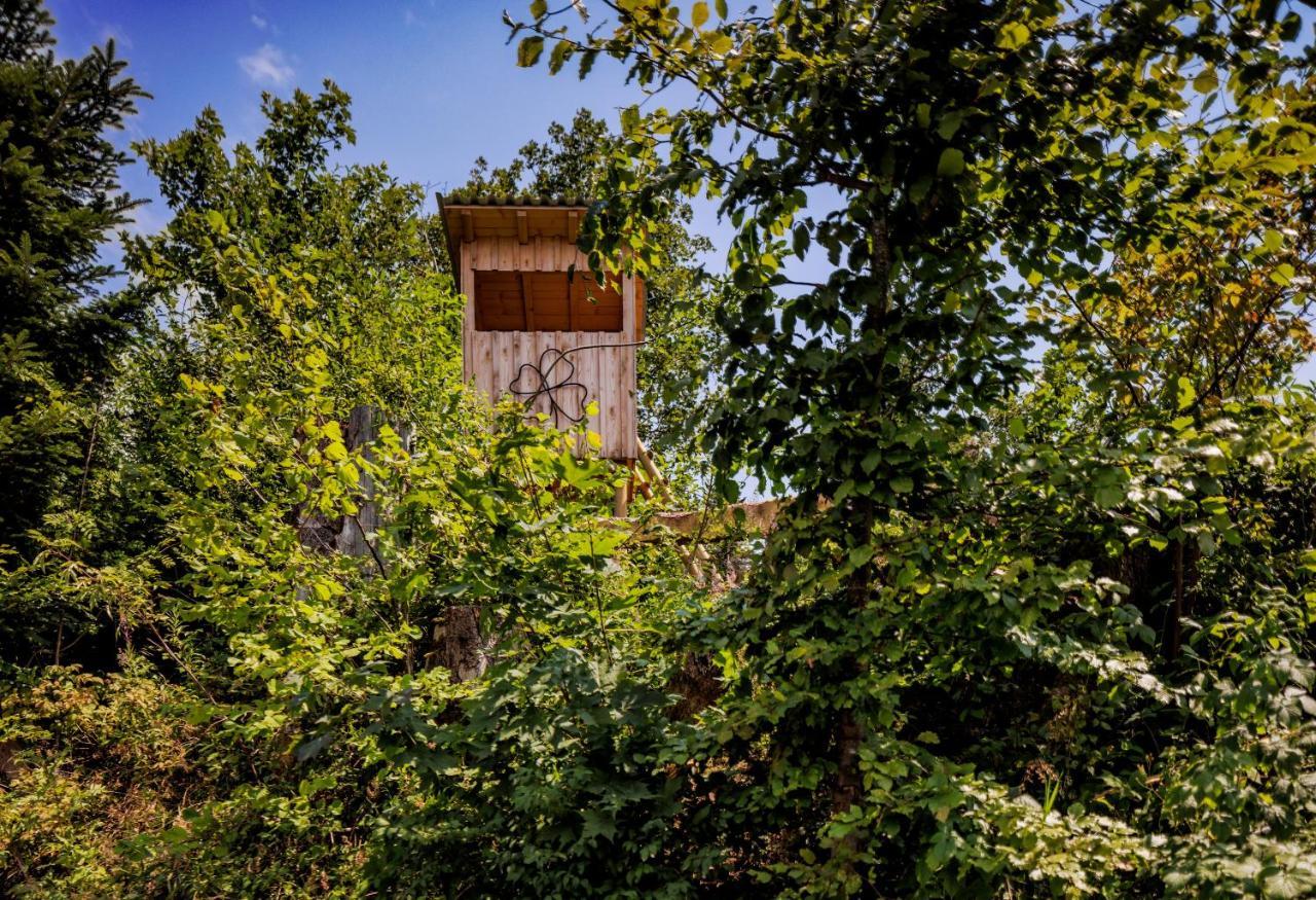 Villa PfänderGlück Lochau Exterior foto
